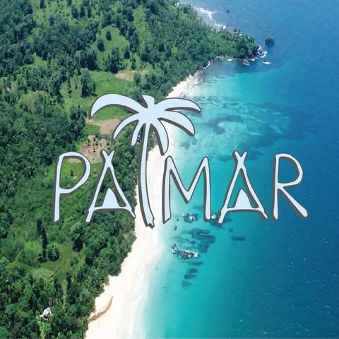 Palmer